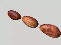 cacao bean 3D model