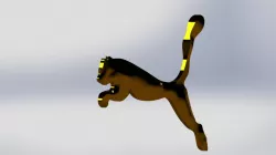 Cheetah