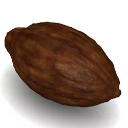 Cocoa pod 3D model