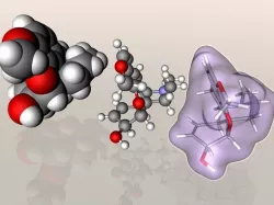 Codeine molecule 3D model