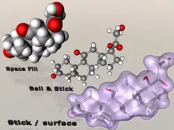 Cortisone molecule  3D model