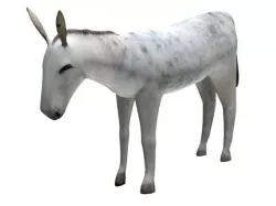 Donkey 3D model