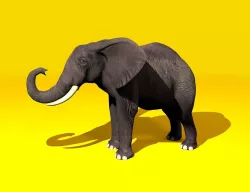 Elephant Rigged and GIFT Low-poly  3D model
