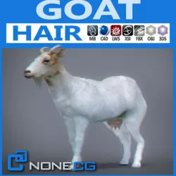 Goat 3D 3D model