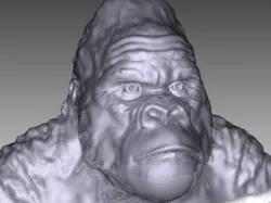 Gorilla Bust
