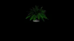 HOUSE plant obj fbx mb ma Low-poly  3D model