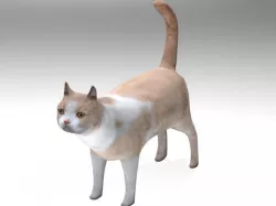Kitten 3D model
