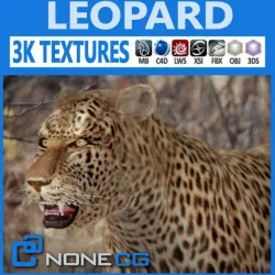 Leopard 3D model