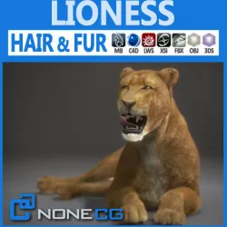 Lioness 3D model