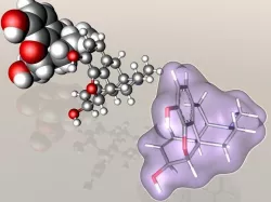 Morphine molecule 3D model