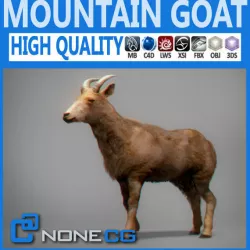 Mountain Goat 3D model
