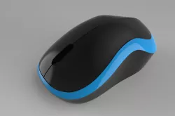 Mouse