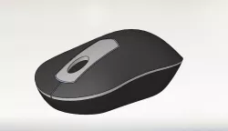 Mouse Model