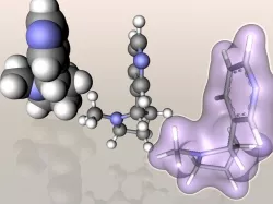 Nicotine molecule 3D model
