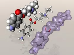 Novocain or procaine molecule 3D model