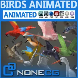 Pack - Birds Animated 3D model