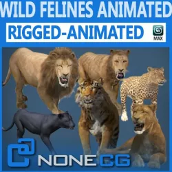 Pack - Wild Felines Animated 3D model