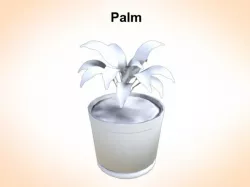 Palm 3D model