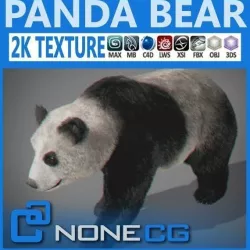 Panda Bear 3D model