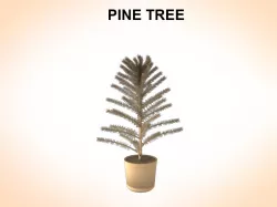 Pine Tree 3D model