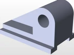 rib