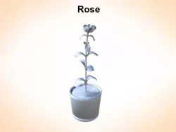 Rose 3D model
