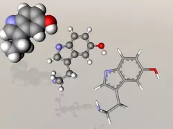 Serotonin molecule 3D model