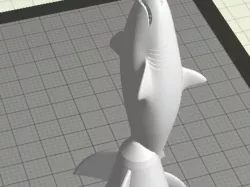 Space Shark