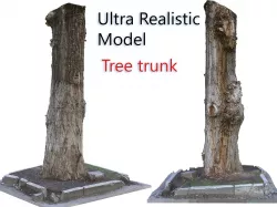 Tree Trunk Scan 3D model