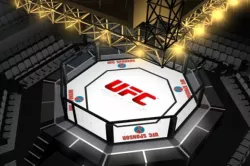 UFC Style Octagon Fighting Arena 3D model