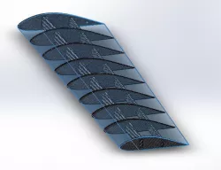 wing