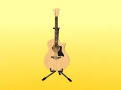 Acoustic guitar