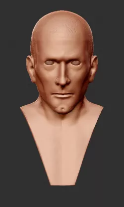 Bald 3D model