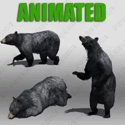Black Bear Animated Low-poly  3D model