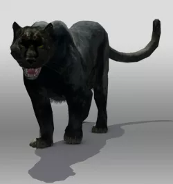 Black Panther 3D model