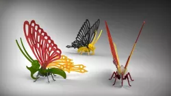 butterfly (STP)