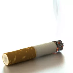 Cigarette Butt 3D model