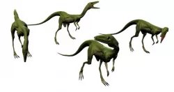 Compsognathus Low-poly  3D model