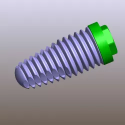 Dental Implant
