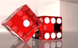 Dice
