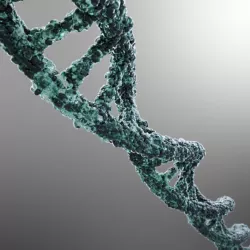 DNA strand 3D model