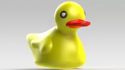 ducky