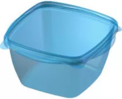 food container
