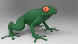 Frog
