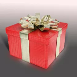 Gift Box 3D model