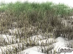 Grass 3D model