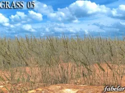 Grass 3D model