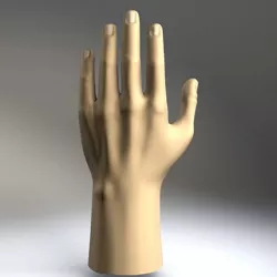 Hand model 3D model
