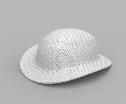 Hat 3D model