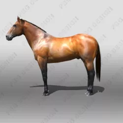 Horse 3D model